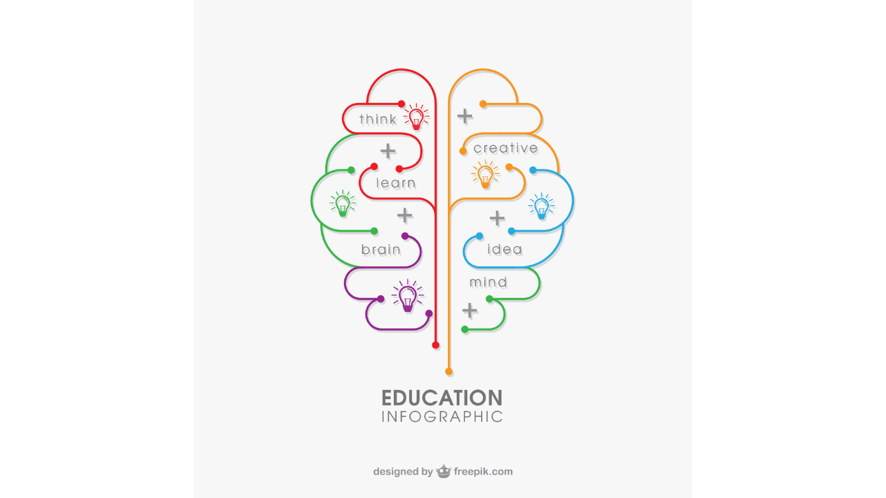a colourful brain diagram