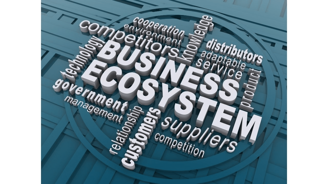 business ecosystem key words