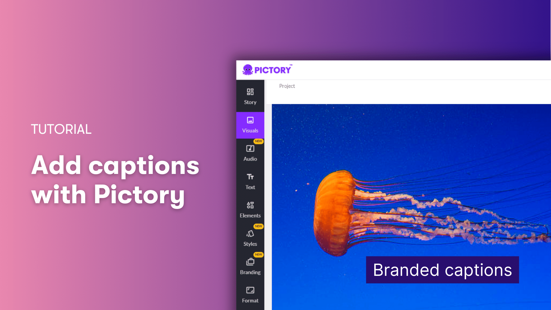 Add captions to video content with pictory