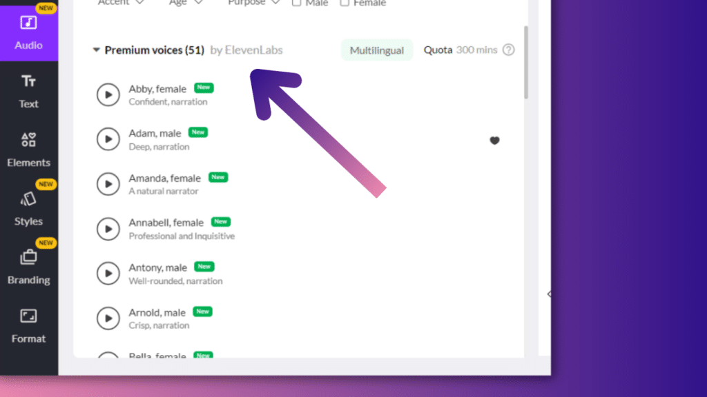 Screenshot showing ElevenLabs in Pictory