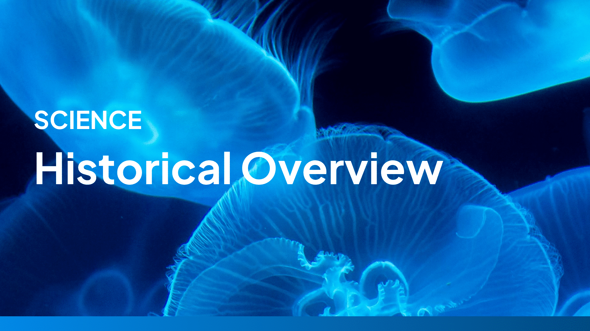 Video Templates Pictory ai