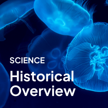 Pictory Video Template - Historical Event Overview