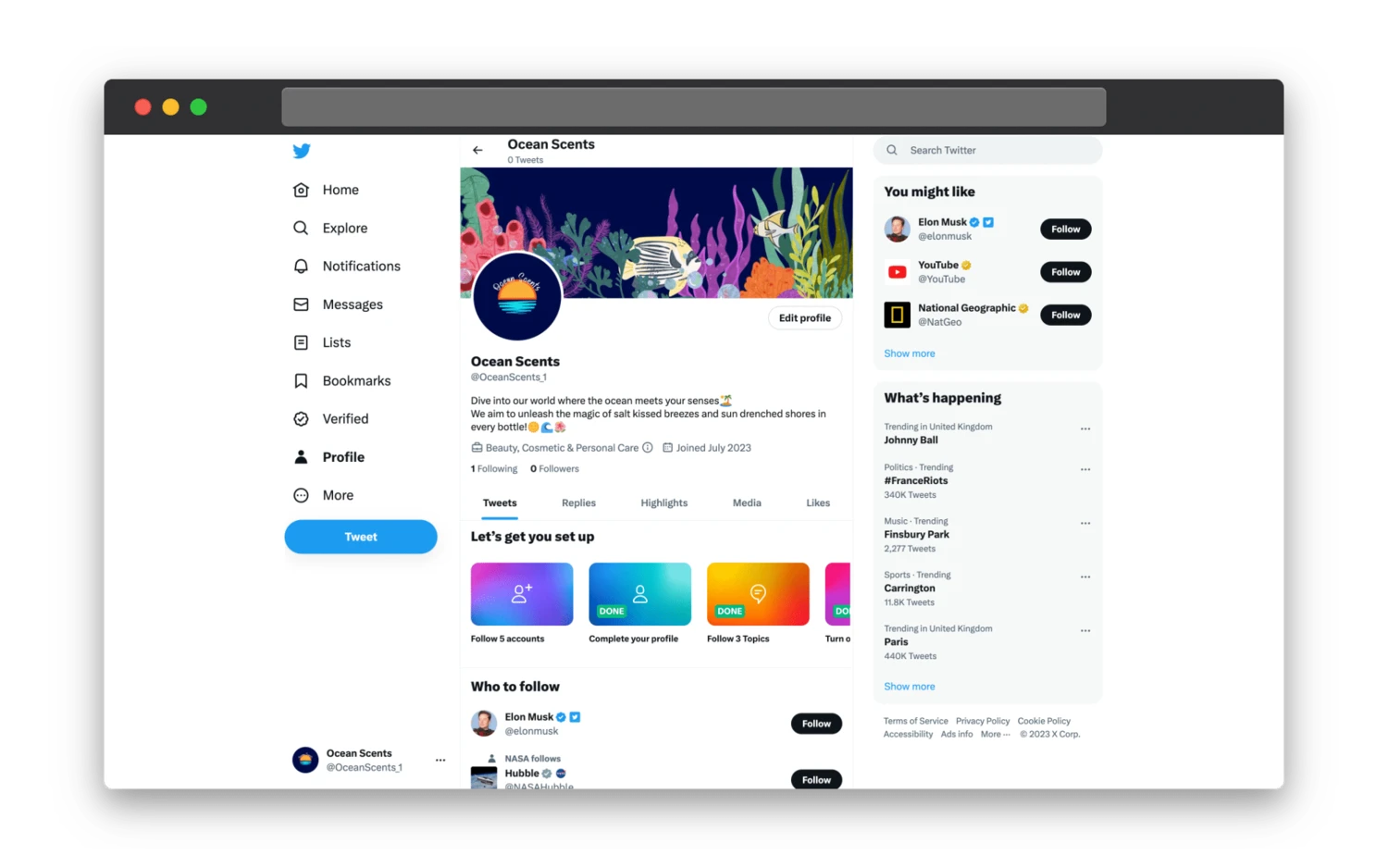 creating an effective Twitter bio